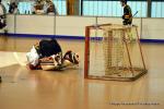 Photo hockey reportage N2 : Les Griffons en promenade
