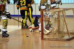 Photo hockey reportage N2 : Les Griffons en promenade