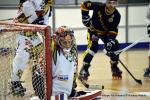 Photo hockey reportage N2 : Les Griffons en promenade