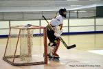 Photo hockey reportage N2 : Les Griffons en promenade