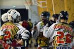 Photo hockey reportage N2 : Les Griffons en promenade