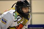 Photo hockey reportage N2 : Les Griffons en promenade