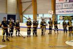 Photo hockey reportage N2 : Les Griffons en promenade