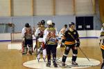 Photo hockey reportage N2 : Les Griffons en promenade