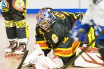 Photo hockey reportage N2 : Les Griffons restent invaincus
