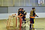 Photo hockey reportage N2 : Les Griffons virent en tte