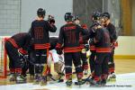Photo hockey reportage N2 : Lyon tient bon