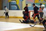 Photo hockey reportage N2 : Lyon tient bon