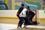 Photo hockey reportage N2 : Lyon tient bon
