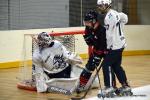 Photo hockey reportage N2 : Lyon tient bon