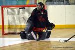 Photo hockey reportage N2 : Lyon tient bon