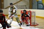 Photo hockey reportage N2 : Match r�f�rence pour les Griffons