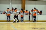 Photo hockey reportage N2 : Sanglants tigres !