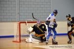 Photo hockey reportage N2 finale : Les Griffons s'envolent