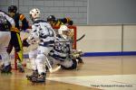 Photo hockey reportage N2 finale : Les Griffons s'envolent