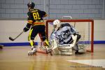 Photo hockey reportage N2 finale : Les Griffons s'envolent
