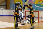 Photo hockey reportage N2 finale : Les Griffons s'envolent