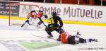 Photo hockey reportage Napoleon Cup : Gothiques VS Panthers. 