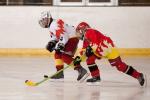 Photo hockey reportage Orlans vs Deuil : Photos U11