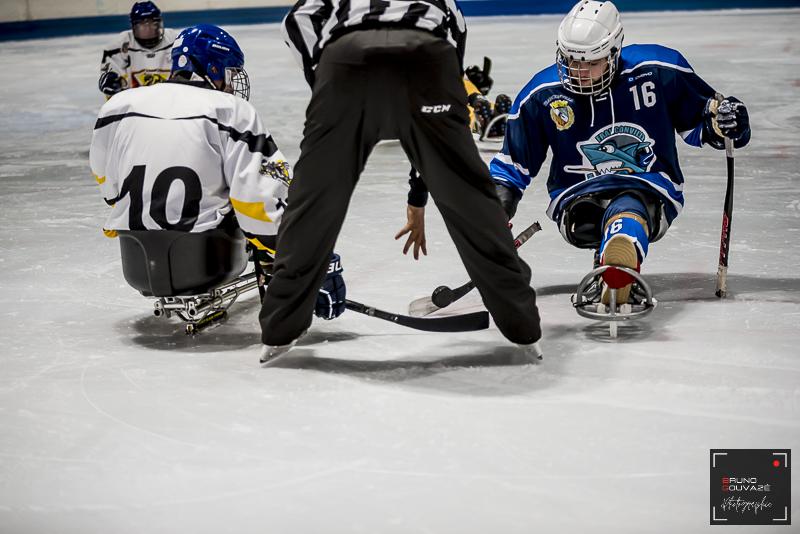 Photo hockey reportage Para Hockey