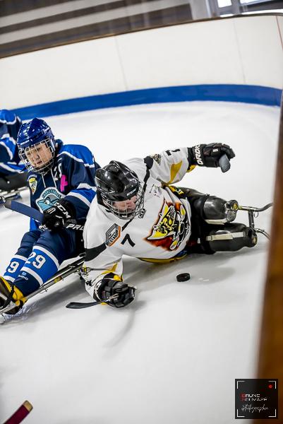 Photo hockey reportage Para Hockey