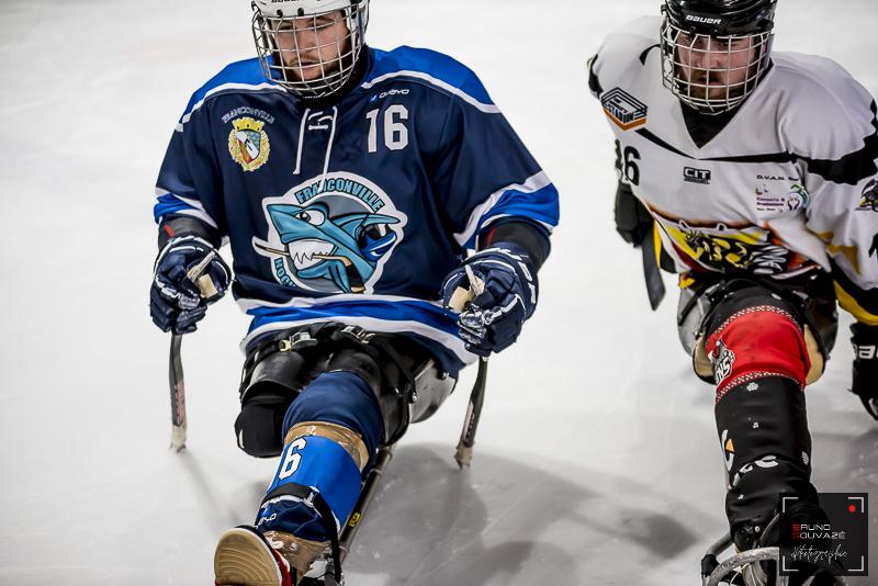 Photo hockey reportage Para Hockey