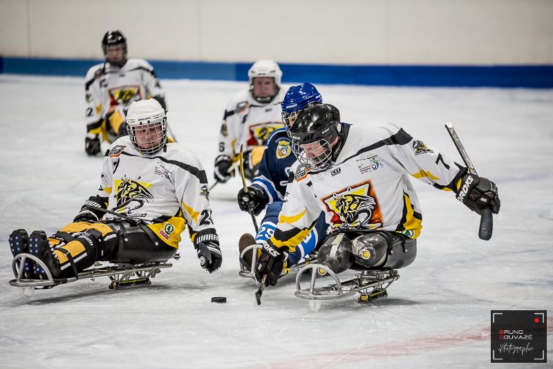 Photo hockey reportage Para Hockey