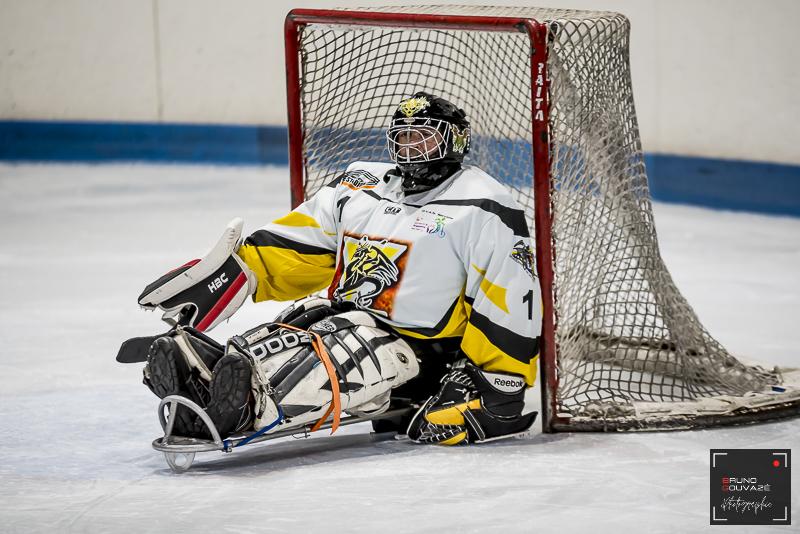 Photo hockey reportage Para Hockey