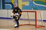 Photo hockey reportage Playoffs N2 : Hawks et Griffons dcollent