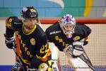 Photo hockey reportage Playoffs N2 : Hawks et Griffons dcollent