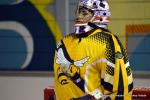 Photo hockey reportage Playoffs N2 : Hawks et Griffons dcollent