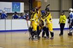 Photo hockey reportage Playoffs N2 : Hawks et Griffons dcollent