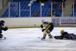 Photo hockey reportage PO D3 : play-off : Des Hiboux trop tendres