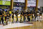 Photo hockey reportage PO N1 : Les Griffons au 7me ciel