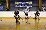 Photo hockey reportage PO N1 : Les Griffons au 7me ciel
