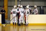 Photo hockey reportage PO N1 : Les Griffons au 7me ciel