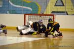 Photo hockey reportage PO N1 : Les Griffons au 7me ciel