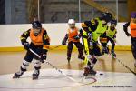 Photo hockey reportage PO N1 : Les Griffons au 7me ciel