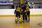 Photo hockey reportage PO N1 : Les Griffons au 7me ciel