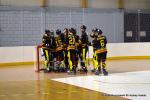 Photo hockey reportage PO N1 : Les Griffons au 7me ciel