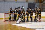 Photo hockey reportage PO N1 : Les Griffons au 7me ciel