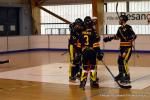 Photo hockey reportage Pr Nat 1/2 : Besanon tte de gondole