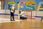 Photo hockey reportage Pr Nat 1/2 : Besanon tte de gondole