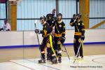 Photo hockey reportage Pr Nat 1/2 : Besanon tte de gondole