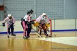 Photo hockey reportage Pr Nat 1/2 : Nantes et Besanon passent
