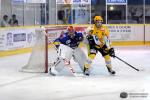 Photo hockey reportage Premier cru de Bourgogne