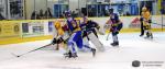 Photo hockey reportage Premier cru de Bourgogne