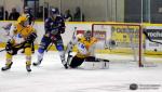 Photo hockey reportage Premier cru de Bourgogne