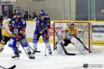 Photo hockey reportage Premier cru de Bourgogne