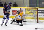 Photo hockey reportage Premier cru de Bourgogne